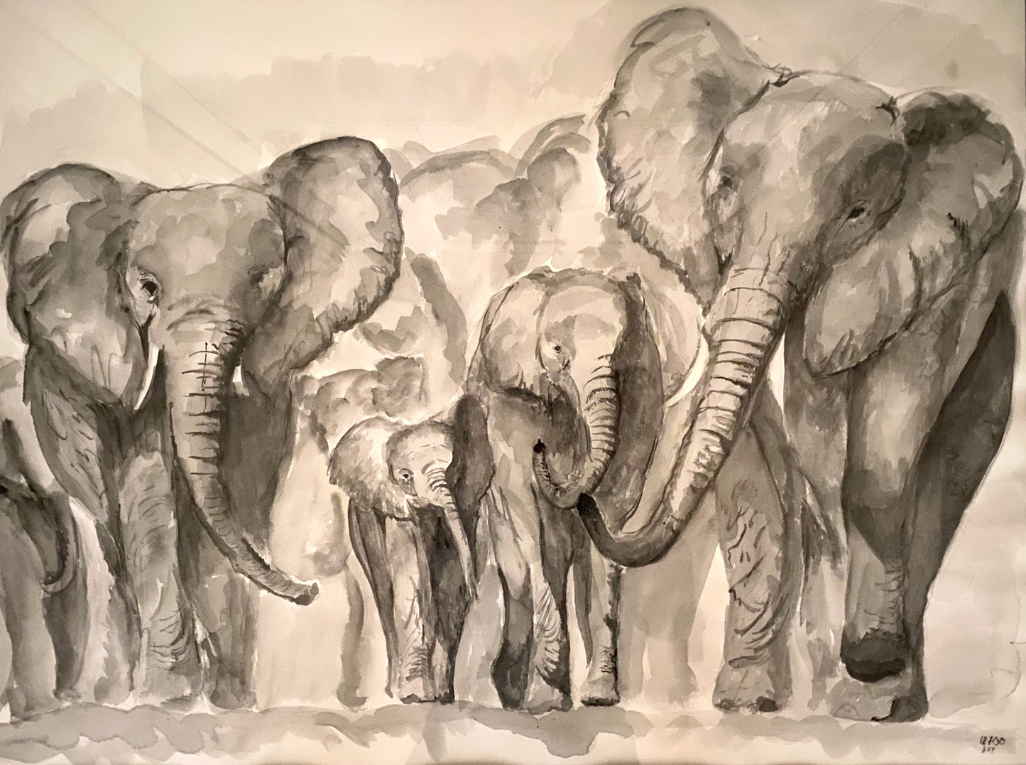 The Herd