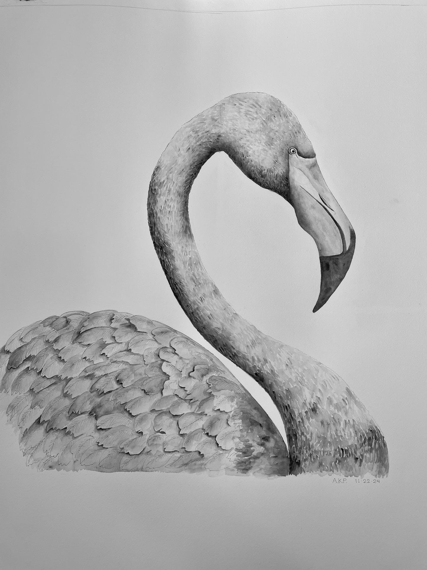 Ruffled Feathers