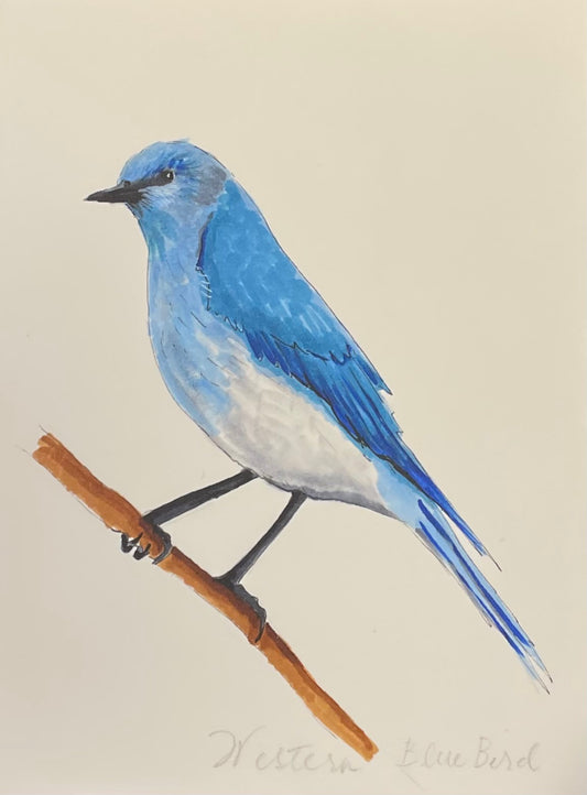 BlueBird Print