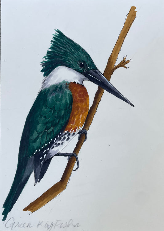 Green Kingfisher Print